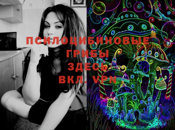 2c-b Алексин