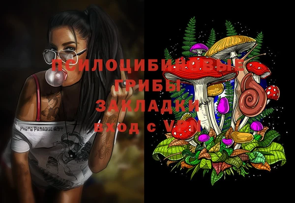 2c-b Алексин