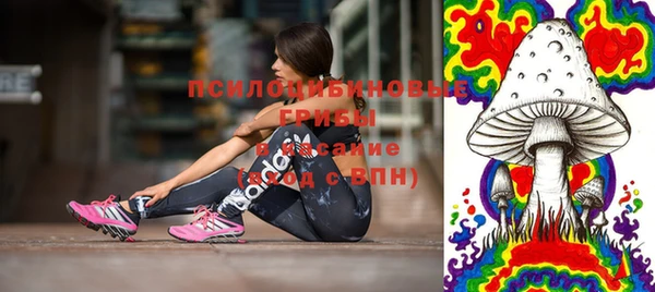 прущие грибы Алексеевка