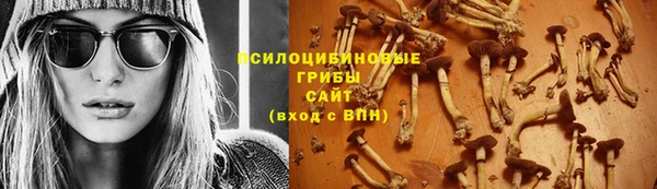 не бодяженный Алзамай
