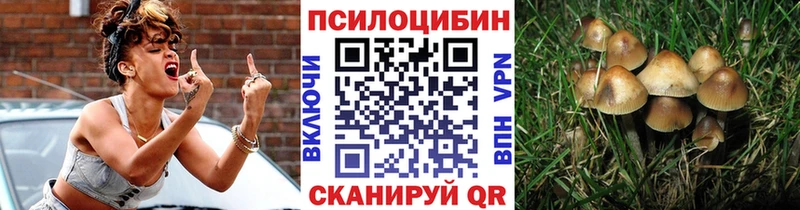 Псилоцибиновые грибы прущие грибы  Омутнинск 